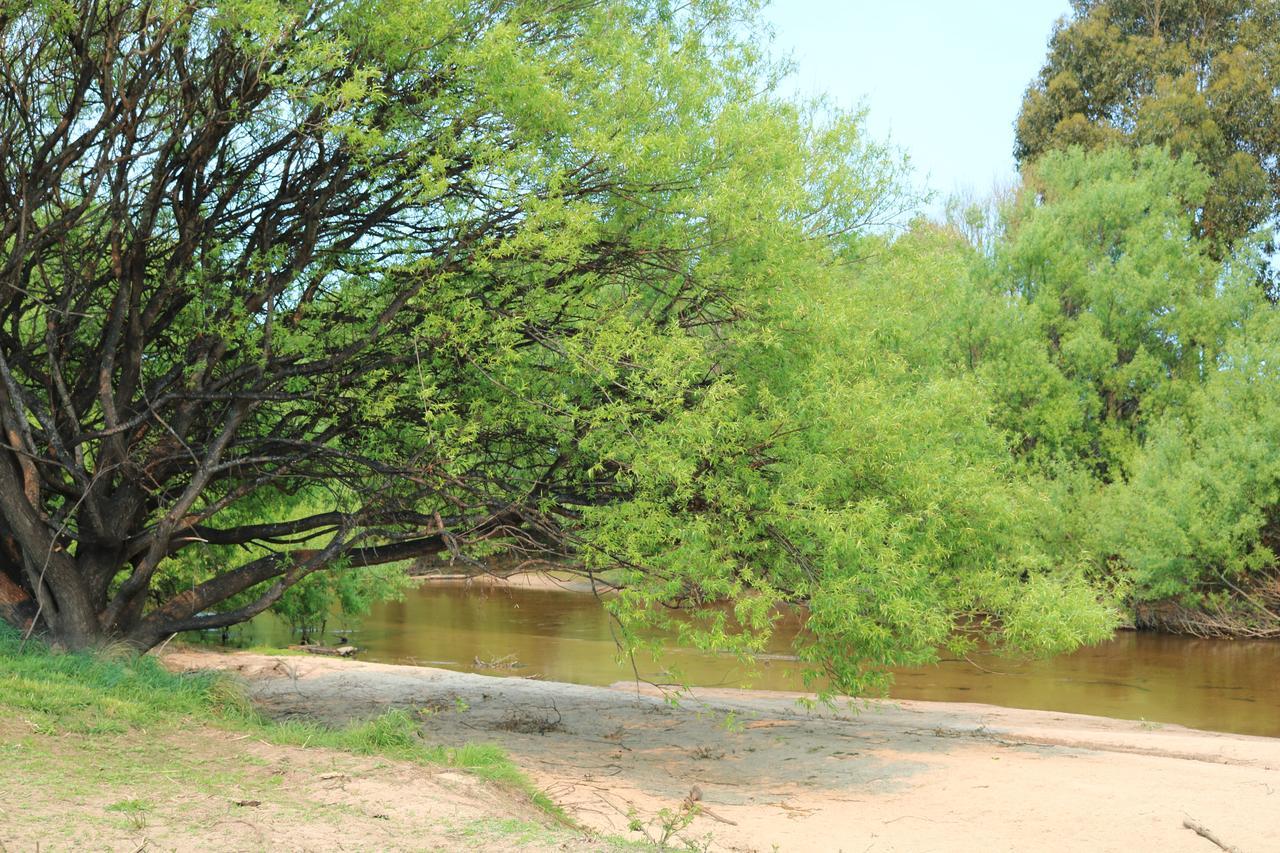George River Park Сейнт Хелънс Екстериор снимка